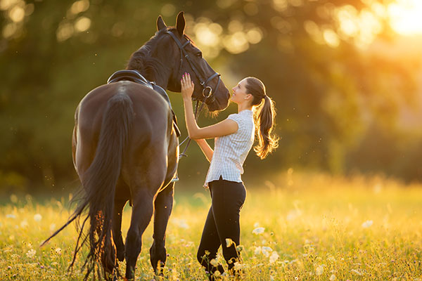 Insights from AAEP 2018 (American Association of Equine Practitioners Conference)